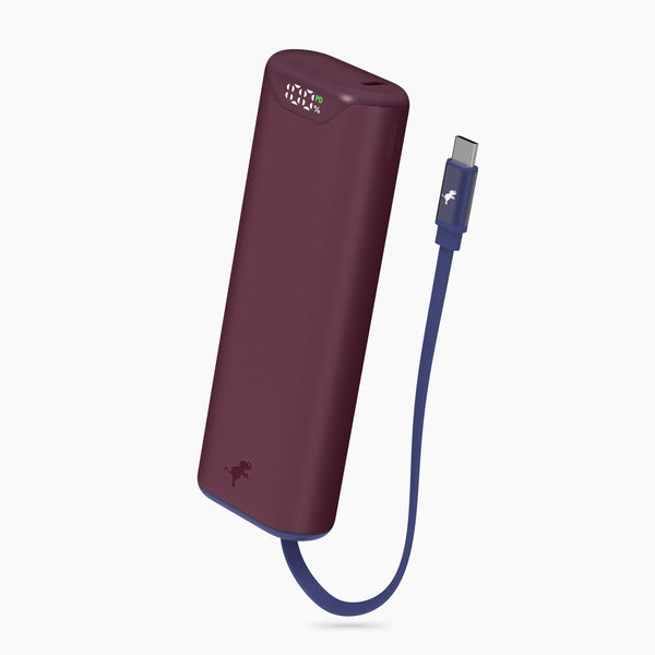 Stretch Portable Charger